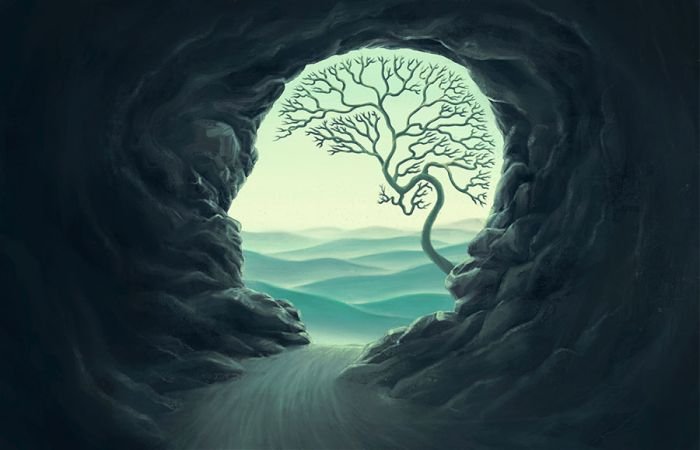 Blog Detail Pic